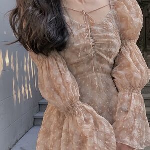 Elegant Sheer Puff Sleeve Dress